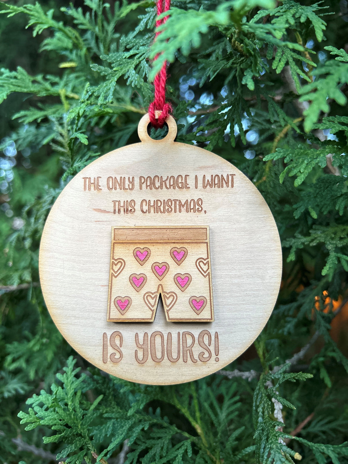 I Want Your Package Male Ornament