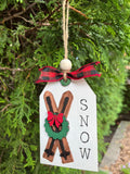 Snow Skis - Pop Out Ornament Kit